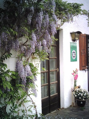 Bild 1 Ferienwohnung 53823