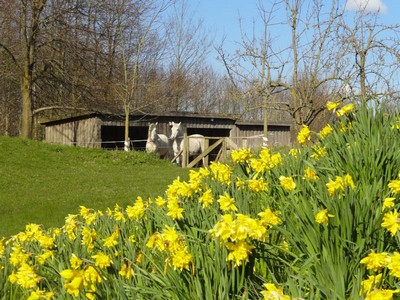 Bild 3 Ferienhaus 90191