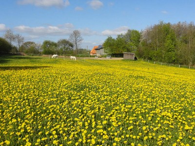 Bild 5 Ferienhaus 90191