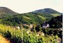 Gastgeber: Enkirch, Mosel, Rheinland-Pfalz